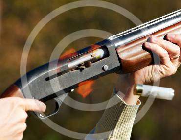 Best Rifles for Hunting